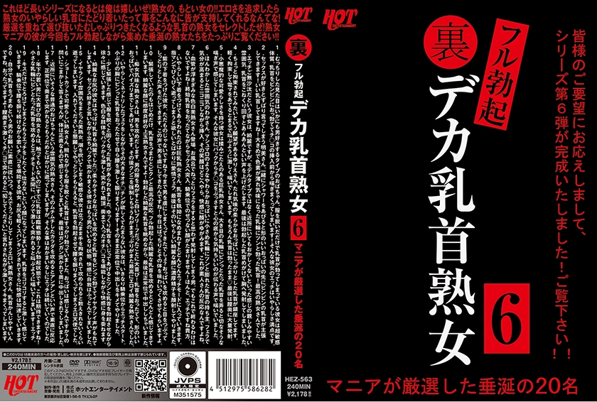 裏フル勃起デカ乳首熟女 6 マニアが厳選した垂涎の20名的!